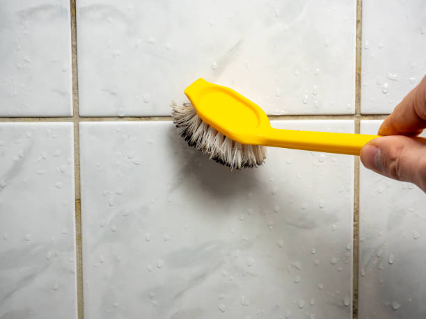 Best Insurance-Related Mold Remediation in Trenton, OH