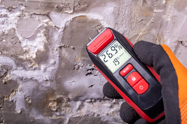 Best Basement Mold Remediation in Trenton, OH